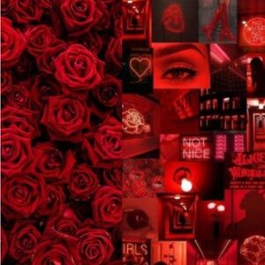 Meet your Posher, Artina